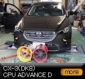 CX-3/DK8/CPU ADVANCE D